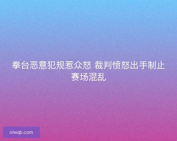 拳台恶意犯规惹众怒 裁判愤怒出手制止赛场混乱