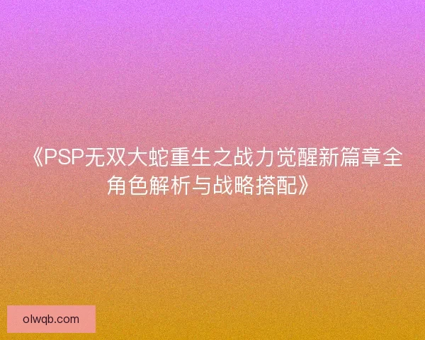 《PSP无双大蛇重生之战力觉醒新篇章全角色解析与战略搭配》